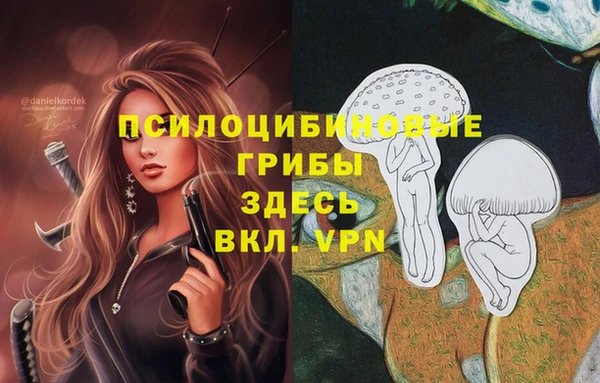 экстази Абаза