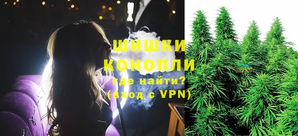 эйфоретик Няндома