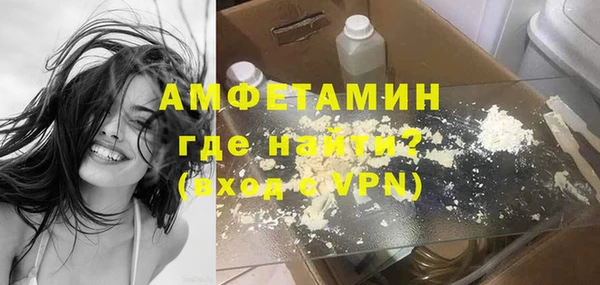 эйфоретик Няндома